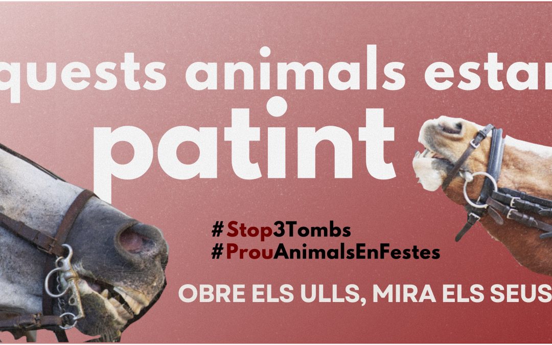 LIBERA! La Garriga: Manifest per uns Tres Tombs sense patiment animal